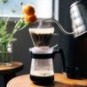 Hario Coffee Dripper Pegasus 02