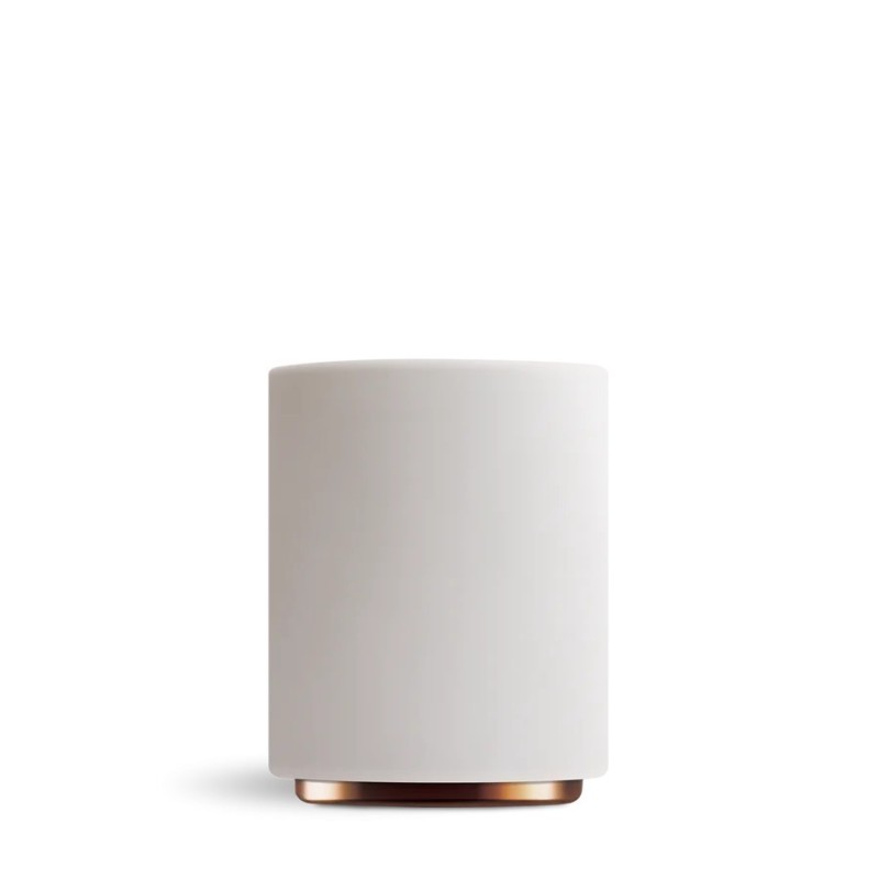 Fellow Monty Milk Art Cups White (11OZ) | Shop Online Now