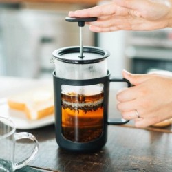 Hario Cafe Press U Barista Accessory | Order Online Today