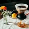 Hario Immersion Coffee Dripper Switch | Fast UK Delivery
