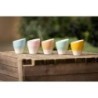 Clubhouse Volcano Espresso Cup 70CC - Set Of 2 | Shop Now
